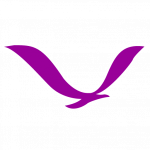 purple-bird